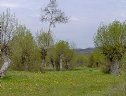 ruta del rio moratones.escober